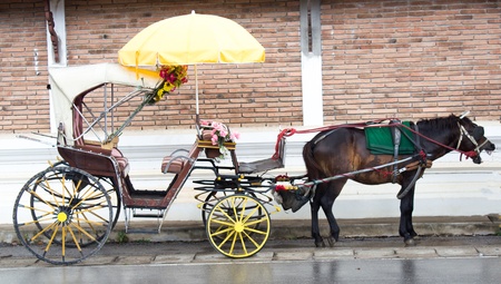 Horses and carriage 