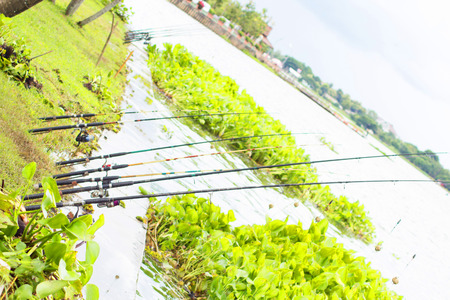 Fishing on the reservoir の写真素材