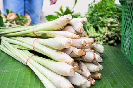 bundle of lemon grass の写真素材