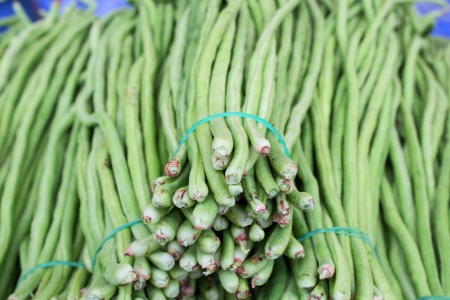 Long beans, in the Thai market の写真素材