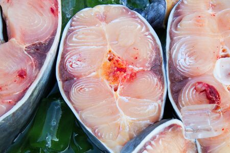 fresh fish in the market