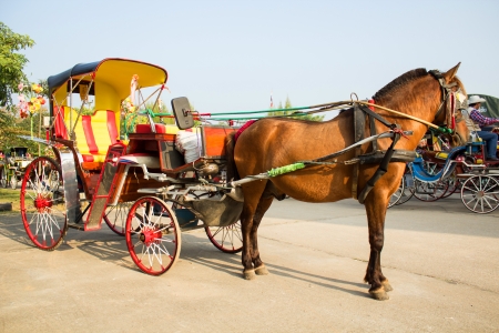 Horse carriages for tourist services in Lampang Thailandの写真素材