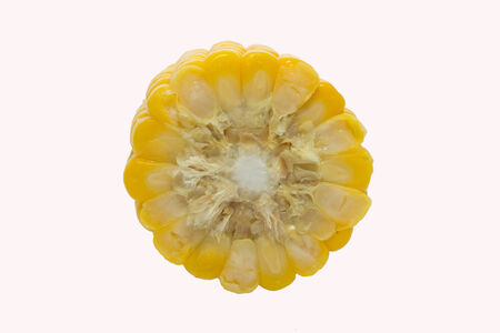 Sweet boiled corn on white background