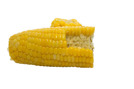 Sweet boiled corn on white backgroundの写真素材