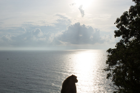 Beach in Summertime の写真素材