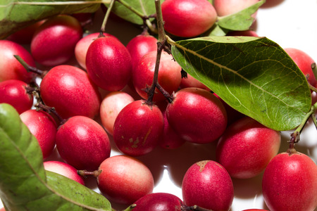 Mango Lemon acclaim for の写真素材