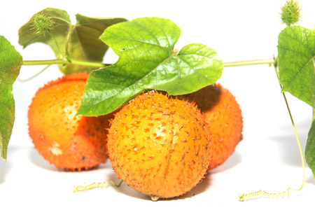 Southeast Asian fruit commonly know as Gac children Jackfruitの写真素材