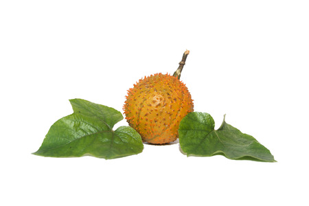 Southeast Asian fruit commonly know as Gac children Jackfruitの写真素材