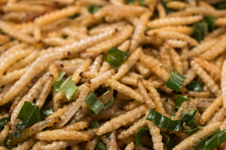 Fried bamboo larvae - national snack in Thailandの写真素材