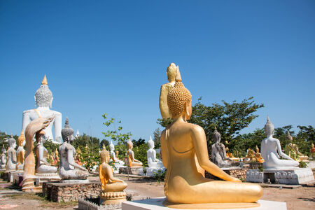 buddha statue , Thailandの写真素材