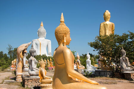 Buddha statues imageの写真素材