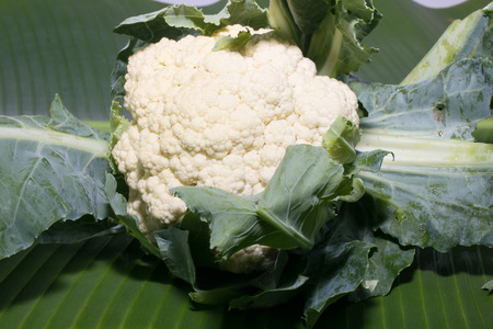 Cauliflower isolated on banana leaf backgroundの写真素材