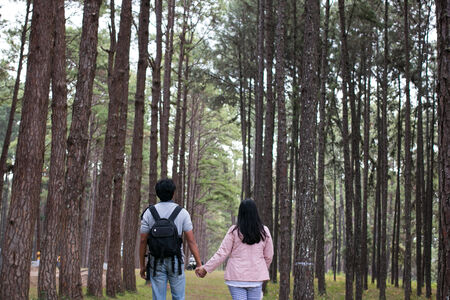 Couple in a pine forest in autumnの写真素材