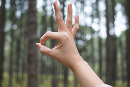 okay hand symbol