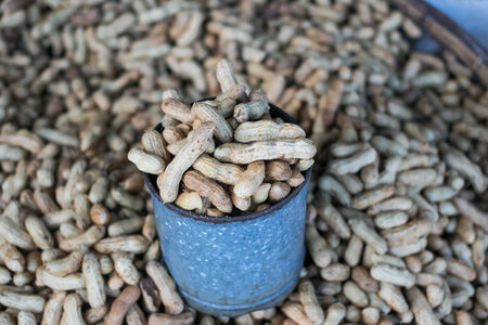 Pile of peanuts in shell background
