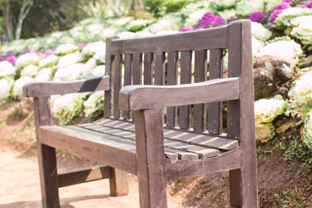 Chair in the parkの写真素材