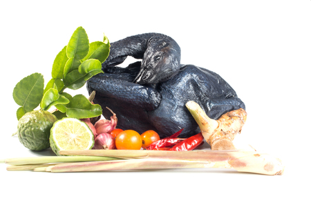 Whole Black Chicken and spices isolated On White Backgroundの写真素材