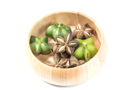 Plukenetia volubilis, commonly known as sacha inchi, sacha peanutの写真素材