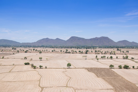 view of rice field landscape in Thailandの写真素材