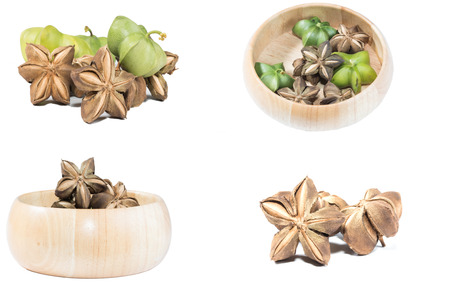 sacha inchi peanut seed on white backgroundの写真素材