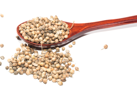 Coriander seeds on a wooden spoonの写真素材