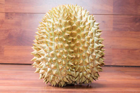 King of fruits durian on wood tableの写真素材