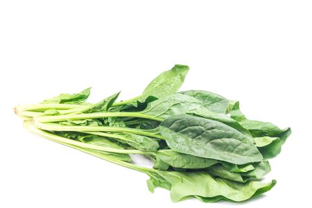 Fresh leaves of spinach isolate on whiteの写真素材