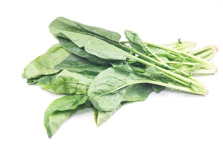 Fresh leaves of spinach isolate on whiteの写真素材