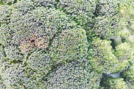 Broccoli on a white background
