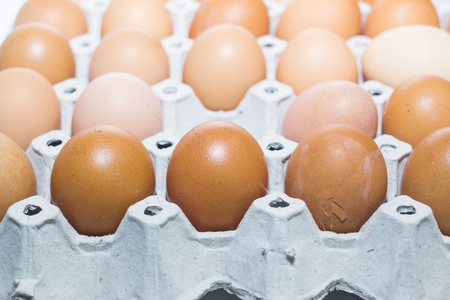 eggの写真素材