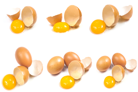 egg isolated on white backgroundの写真素材