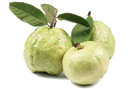 guava on white backgroundの写真素材