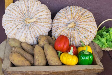fresh Pumpkin, potatoes, paprika from gardenの写真素材