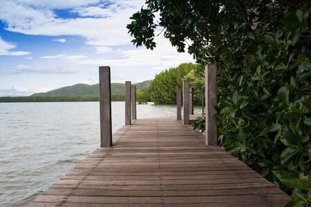 Path in Mangrove forest in Kung Krabaen Bay , Chanthaburi Province, Thailandの写真素材
