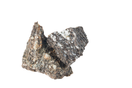 Fragment of gnelss on a white backgroundの写真素材