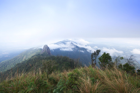 mountain in north Thailand through the fog