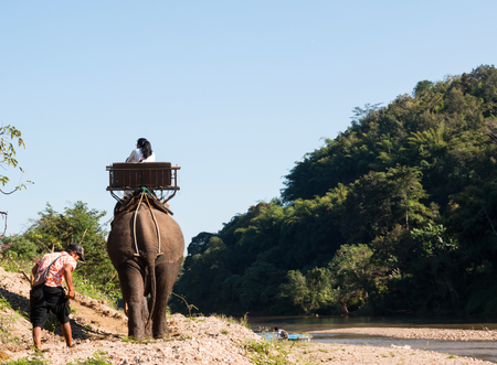 Elephant riding across the river for tourists in nort of Thailandの写真素材