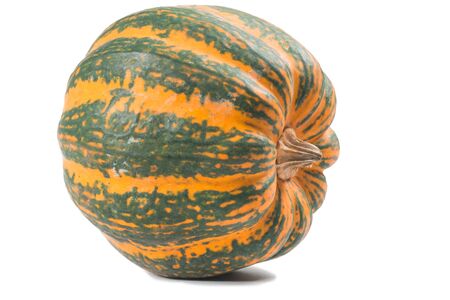 beautiful Fancy pumpkin on a white backgroundの写真素材