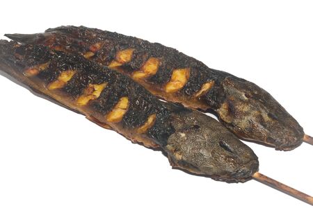 Big Catfish grill isolated on white background