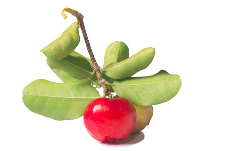 ripe cherries fruit , isolated on white backgroundの写真素材