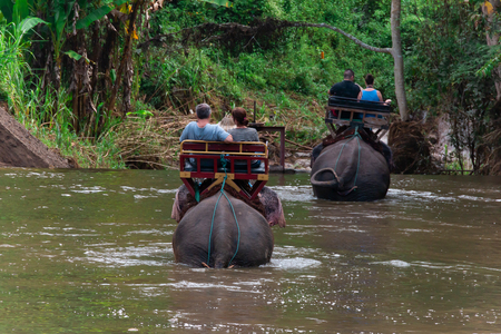 Mahout Sitting on the back of an elephant doing shower elephant In the poolのeditorial素材
