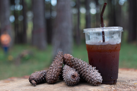 Cold coffee and pine seed on Timber of Pine trees