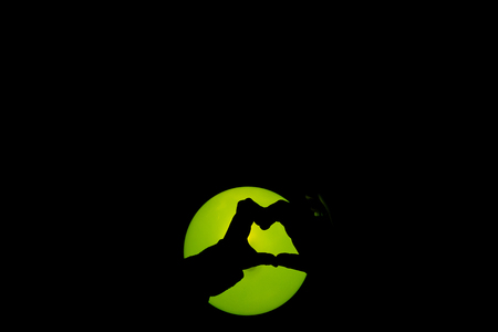 Shadow of Hand made heart and Lighting from the lampの写真素材