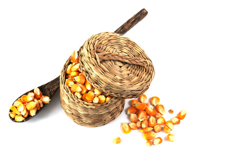 Dried corn seed in Bucket isolate on white backgroundの写真素材