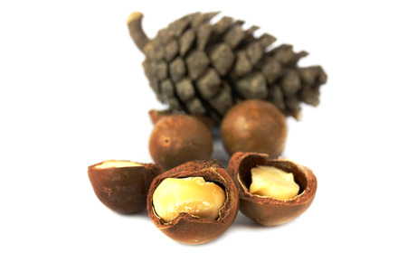 Macadamia fruit isolated on the white background