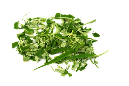 Green marijuana leaves is herbs for cancer treatment isolated over white backgroundの写真素材