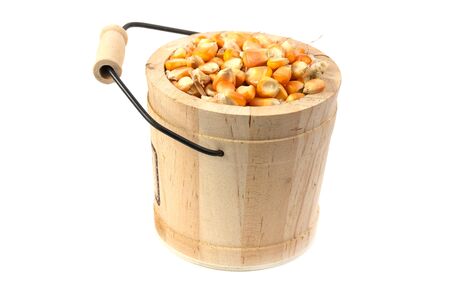 Dried corn seed in Bucket isolate on white backgroundの写真素材