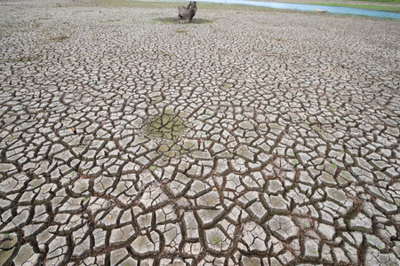 Land with dry and cracked ground because dryness global warming,Global warming background