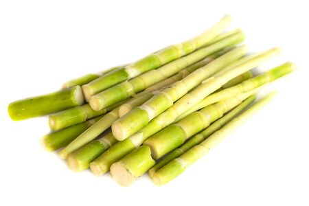 bamboo shoots can be cooked in a variety of types, popular in Thailand and Southeast Asia isolate on whiteの写真素材