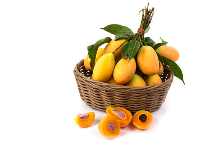 Half melon fruit isolate on White backgroundの写真素材